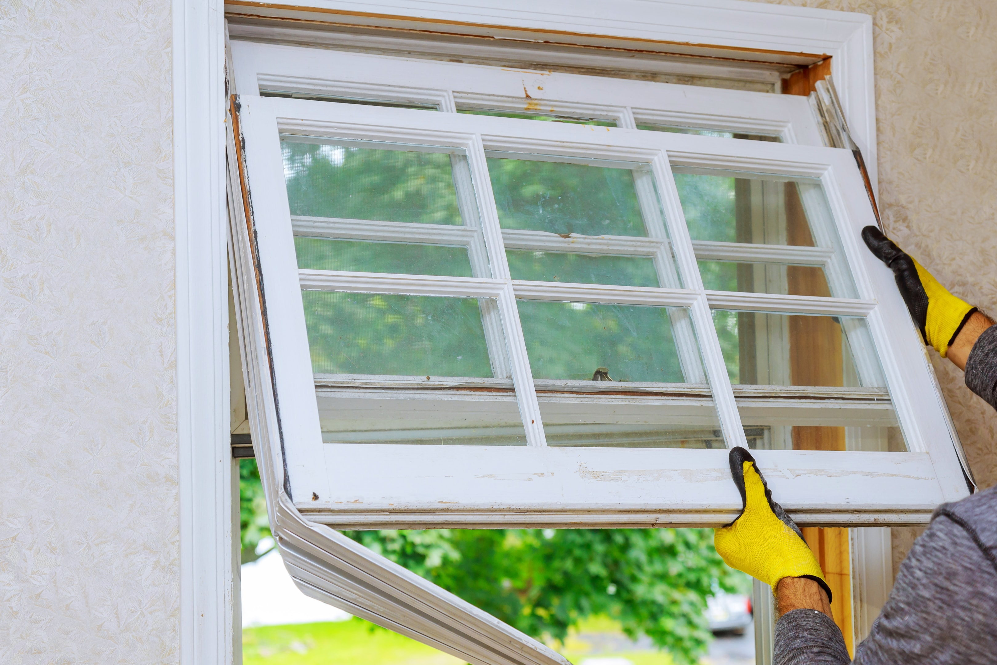 upgrade your windows in 2024 top reasons to consider a replacement now