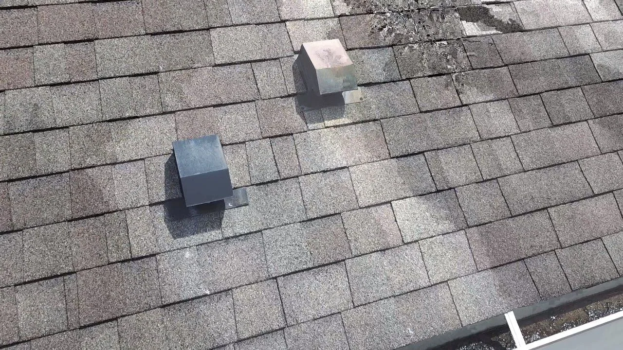 repairing-shingles